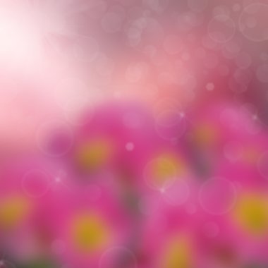 güzel çiçek arka plan