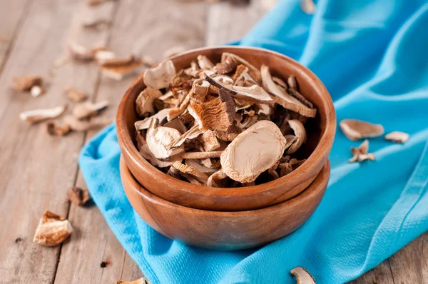 Dried mushroom — Stock Image Dried mushroom Stock Photo