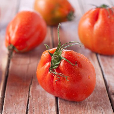 taze kırmızı domates