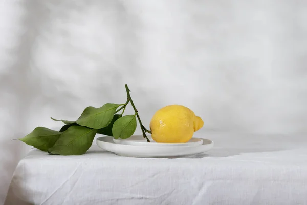 Fresh Lemon Green Leaves Selective Focus Image — Stock Photo, Image