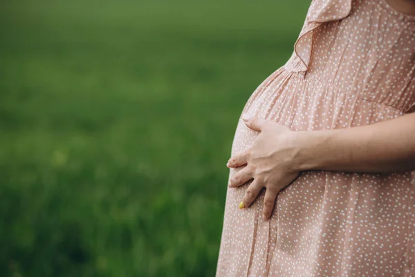 Primer Plano Barriga Embarazada Naturaleza — Foto de Stock