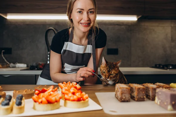 Забавный Бенгальский Кот Кухне Одетый Повар — стоковое фото