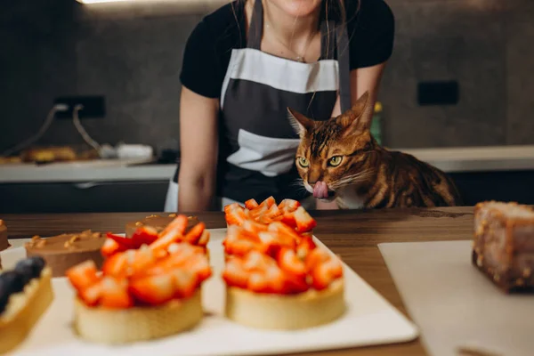Önlüklü Kedi Mutfakta Hamur Yiyor Yakın Plan — Stok fotoğraf