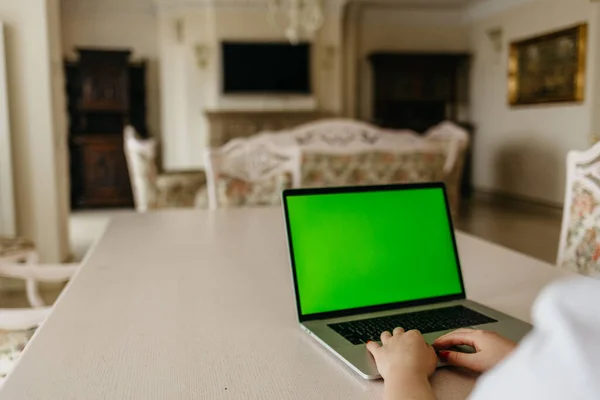 Woman using laptop with green screen. Woman\'s hands typing on a laptop keyboard. Business, communication, freelance and internet concept