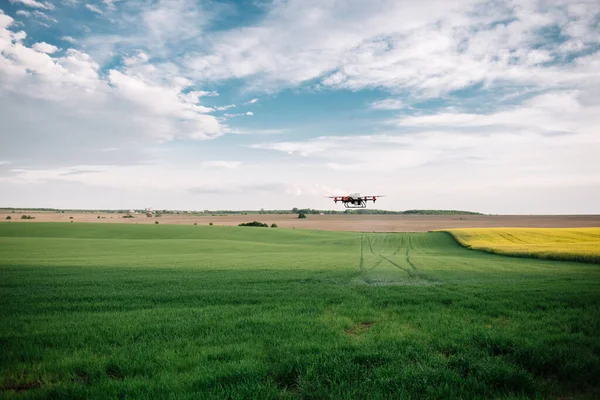 Agriculture Drone Voler Engrais Pulvérisé Sur Les Champs Thé Vert — Photo
