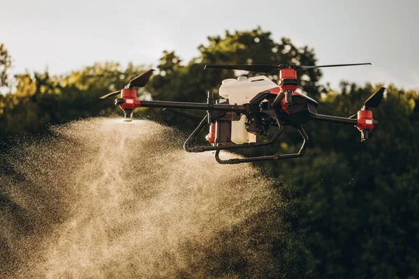 Agriculture drone fly to sprayed fertilizer on the sweet corn fields