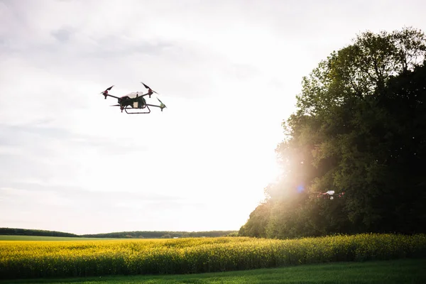 Agriculture drone flying on the green tea field at sunrise