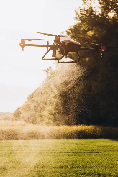 Agriculture drone spraying water fertilizer on the sunflower field