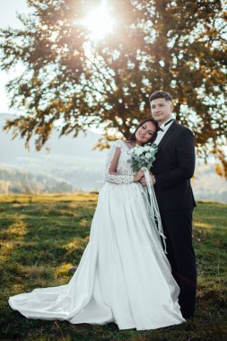 Mutlu gelin ve damadın güneş ışığı portresi gün batımında doğa alanında. Sıcak yaz zamanı.