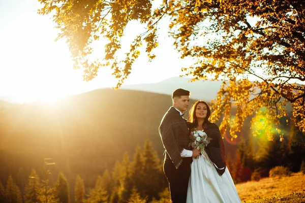 美しい結婚式のカップル 花嫁と新郎は 山の背景に愛の中で 美しいスーツの新郎と白い豪華なドレスの花嫁 結婚式のカップルが歩いている — ストック写真