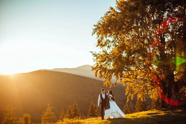 美しい結婚式のカップル 花嫁と新郎は 山の背景に愛の中で 美しいスーツの新郎と白い豪華なドレスの花嫁 結婚式のカップルが歩いている — ストック写真