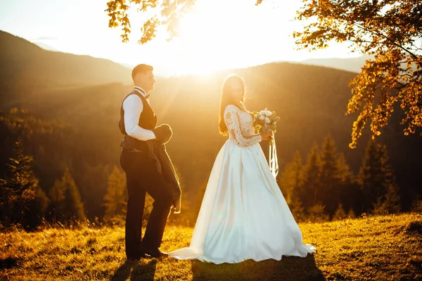 幸せな花嫁と新郎の夕日に行く 日没の素敵な結婚式のカップル 結婚式の衣装を着た花嫁と新郎は 日没の緑のフィールドの背景に手にあります 一緒に 結婚式 — ストック写真