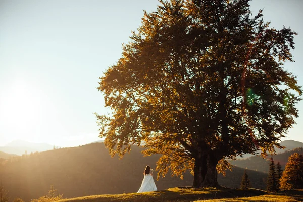 Los Rayos Del Sol Brillan Entre Pareja Viendo Puesta Sol —  Fotos de Stock