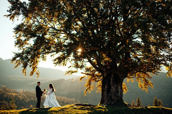 Nişanlısı Gelini Doğadaki Büyük Ağacın Yanında Yan Yana Duruyorlar — Stok fotoğraf