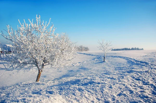 Winter in het land — Stockfoto