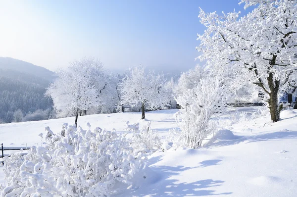 Paysage hivernal Images De Stock Libres De Droits