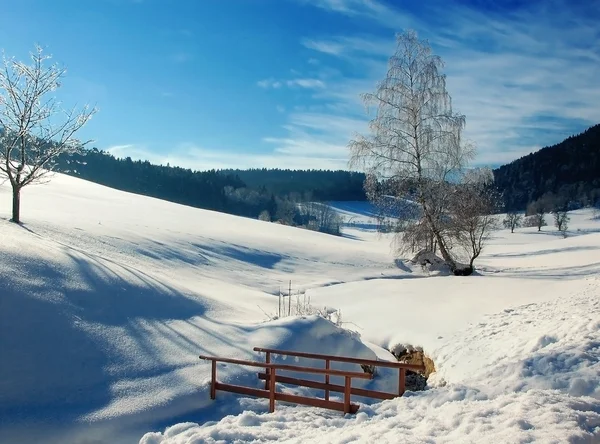 Winterlandschap met kleine brug — Stockfoto
