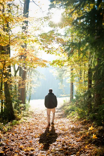 Uomo nella foresta — Foto Stock