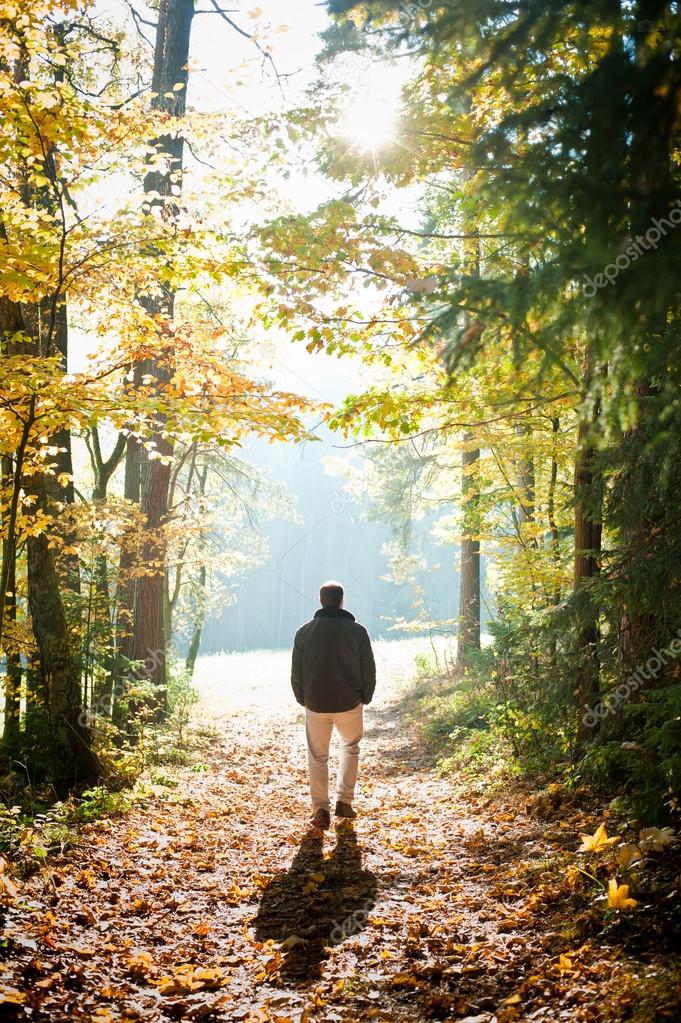 Man in the Forest