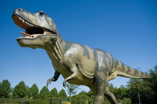 Gran T-Rex Fotos de stock libres de derechos