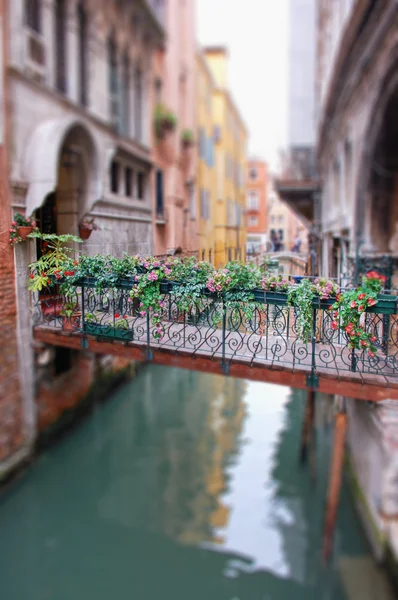 Romantic Bridge in Venice — Stock Photo, Image