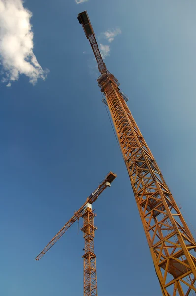 Two Big Cranes — Stock Photo, Image