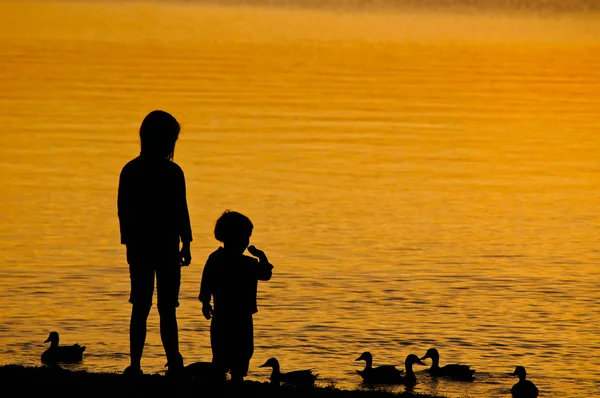 Zwei Kinder füttern die Ente — Stockfoto