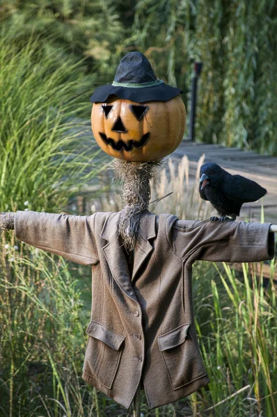 Scarecrow met pumpkinface — Stockfoto