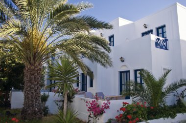 palm ile Yunanistan ev