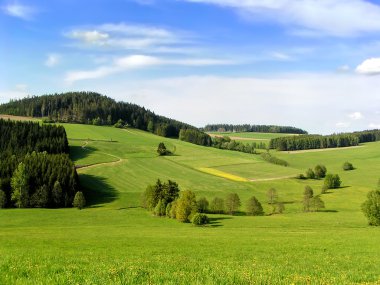 Hills of Muehlviertel clipart