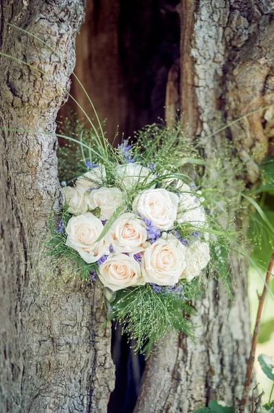 Bouquet nupcial em uma árvore — Fotografia de Stock