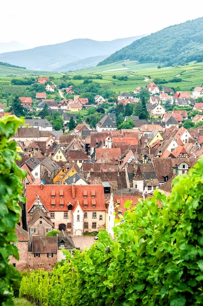 Dorf im Weinberg — Stockfoto