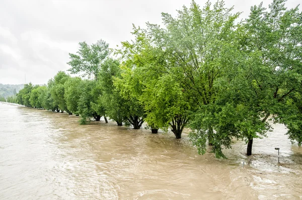 Alley under Water — Stock Photo, Image