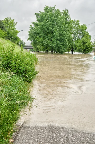 Überschwemmte Donau — Stockfoto