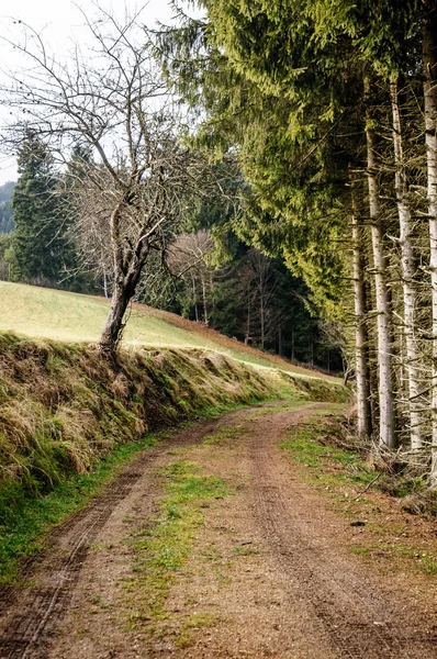 Footpath in Upper Austria — Stock Photo, Image