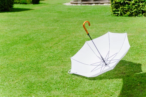 White umbrella in the grass