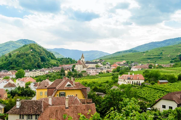 Wachau içinde küçük bir köy — Stok fotoğraf