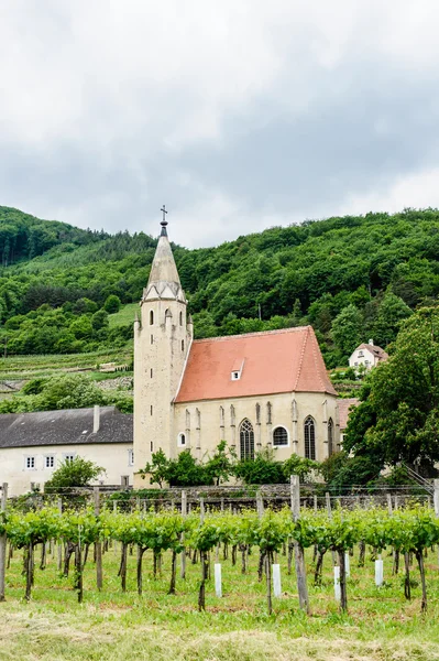 Templom a szőlőskertben — Stock Fotó