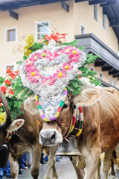 Traditionelles Kuhfest in Österreich — Stockfoto