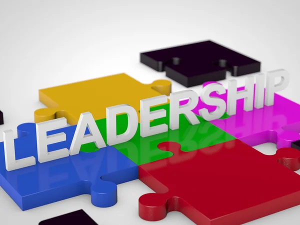 Leadership — Stock Photo, Image