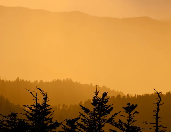 Neblig-rauchiger Sonnenuntergang — Stockfoto