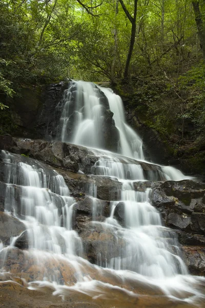 Laurel faller i smokies — Stockfoto