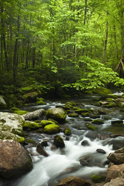 Corrente di montagna — Foto Stock