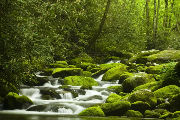 Gebirgsbach — Stockfoto