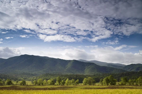 Campos pelas Montanhas Imagem De Stock