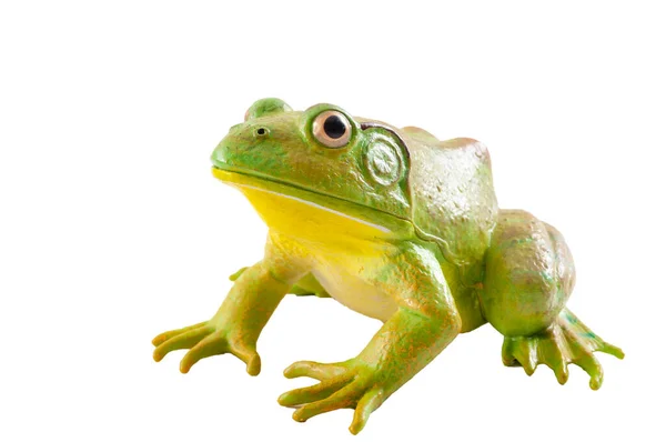 Realistic Fake Plastic Frog Sitting Isolated White Background Clipping Path — Stock Photo, Image