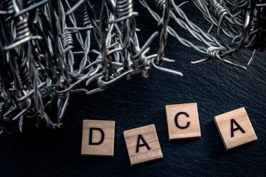 DACA kısaltması olan harflerin yanında dikenli tel olan çocuk geliş konsepti için tedbir. DACA, çocukken Amerika 'ya getirilen göçmenleri koruyan bir yasa tasarısıdır.