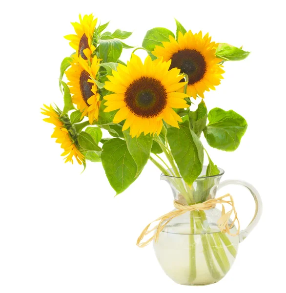 Sonnenblumen in der Vase — Stockfoto