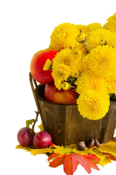 Bouquet of mums with apples — Stock Photo, Image