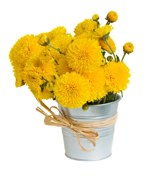 Bouquet of mums in pot — Stock Photo, Image